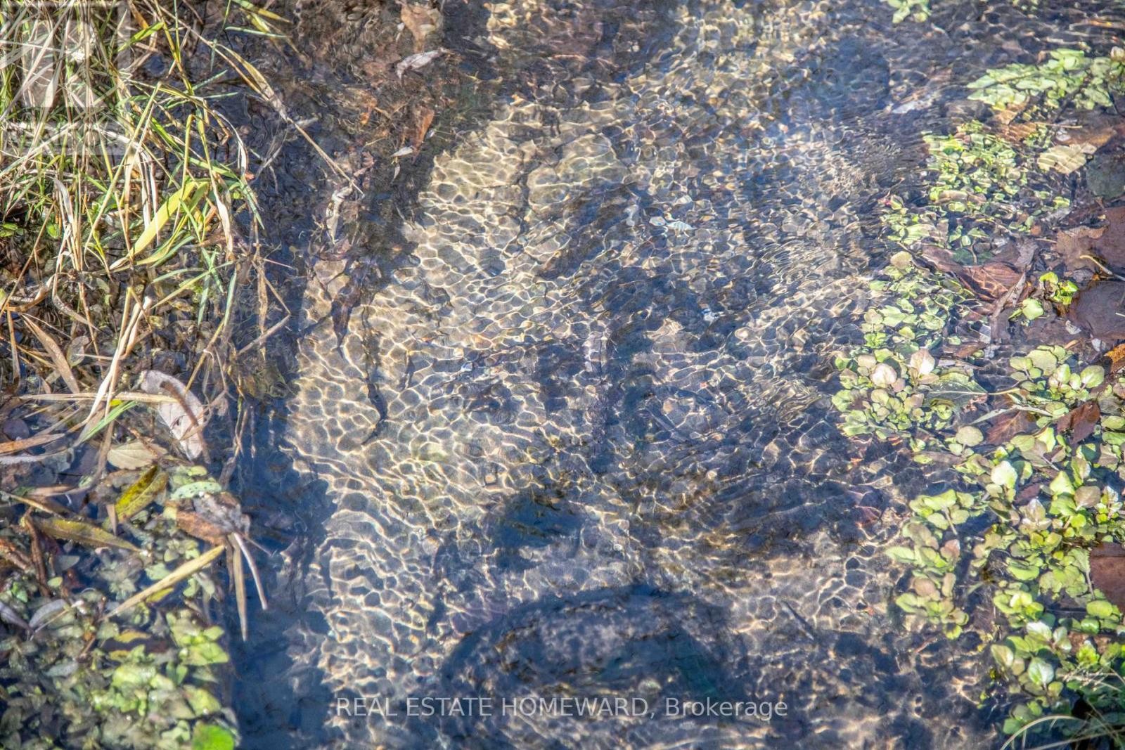 












7257 SOPER ROAD

,
Clarington,




Ontario
L0A1E0

