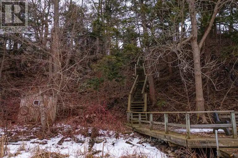 












272 TAYLOR ROAD

,
Toronto (Rouge),




Ontario
M1C2R6

