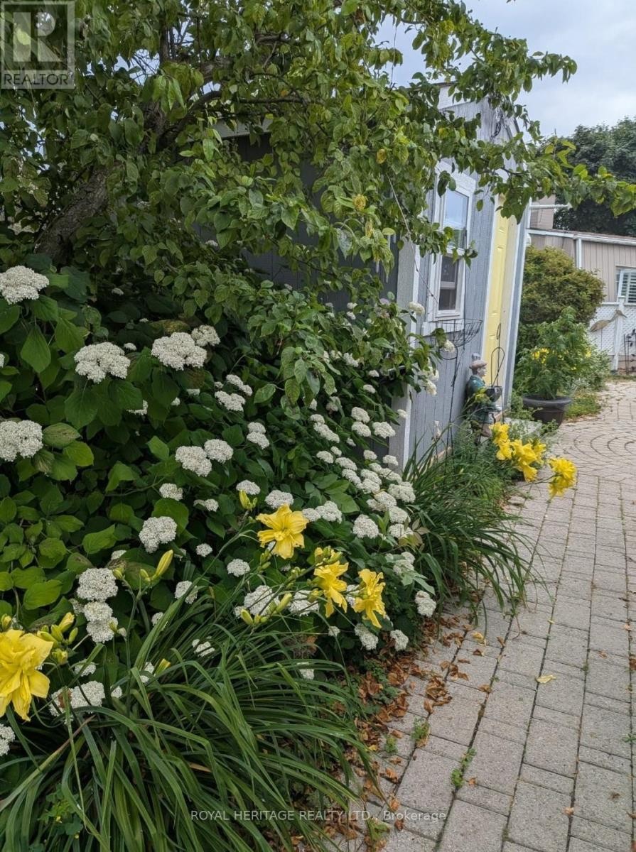 












40 BLUFFS ROAD

,
Clarington (Bowmanville),




Ontario
L1B1A3

