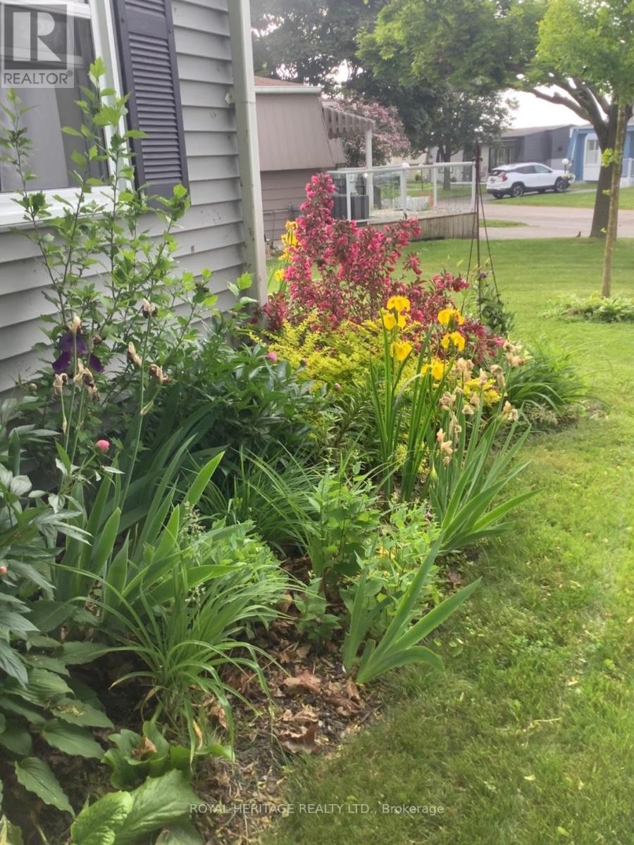 












40 BLUFFS ROAD

,
Clarington (Bowmanville),




Ontario
L1B1A3

