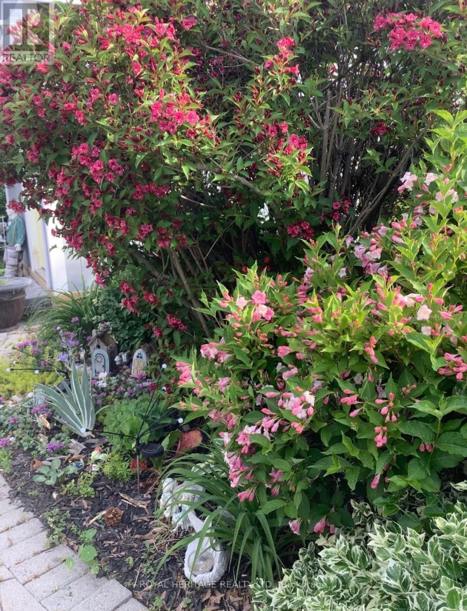 












40 BLUFFS ROAD

,
Clarington (Bowmanville),




Ontario
L1B1A3

