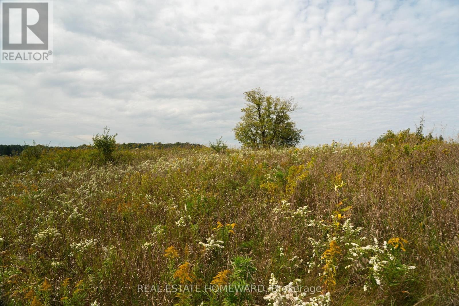 












1430 COUNTY RD 50 S

,
Adjala-Tosorontio,







Ontario
L0N1P0

