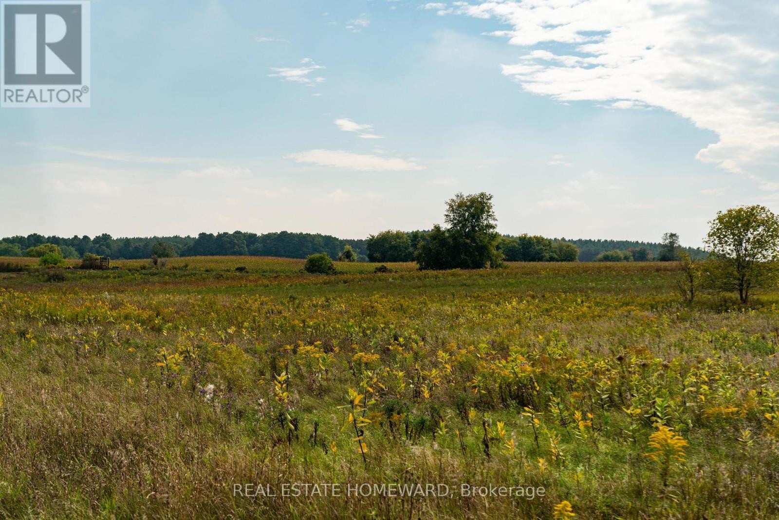 












1430 COUNTY RD 50 S

,
Adjala-Tosorontio,







Ontario
L0N1P0


