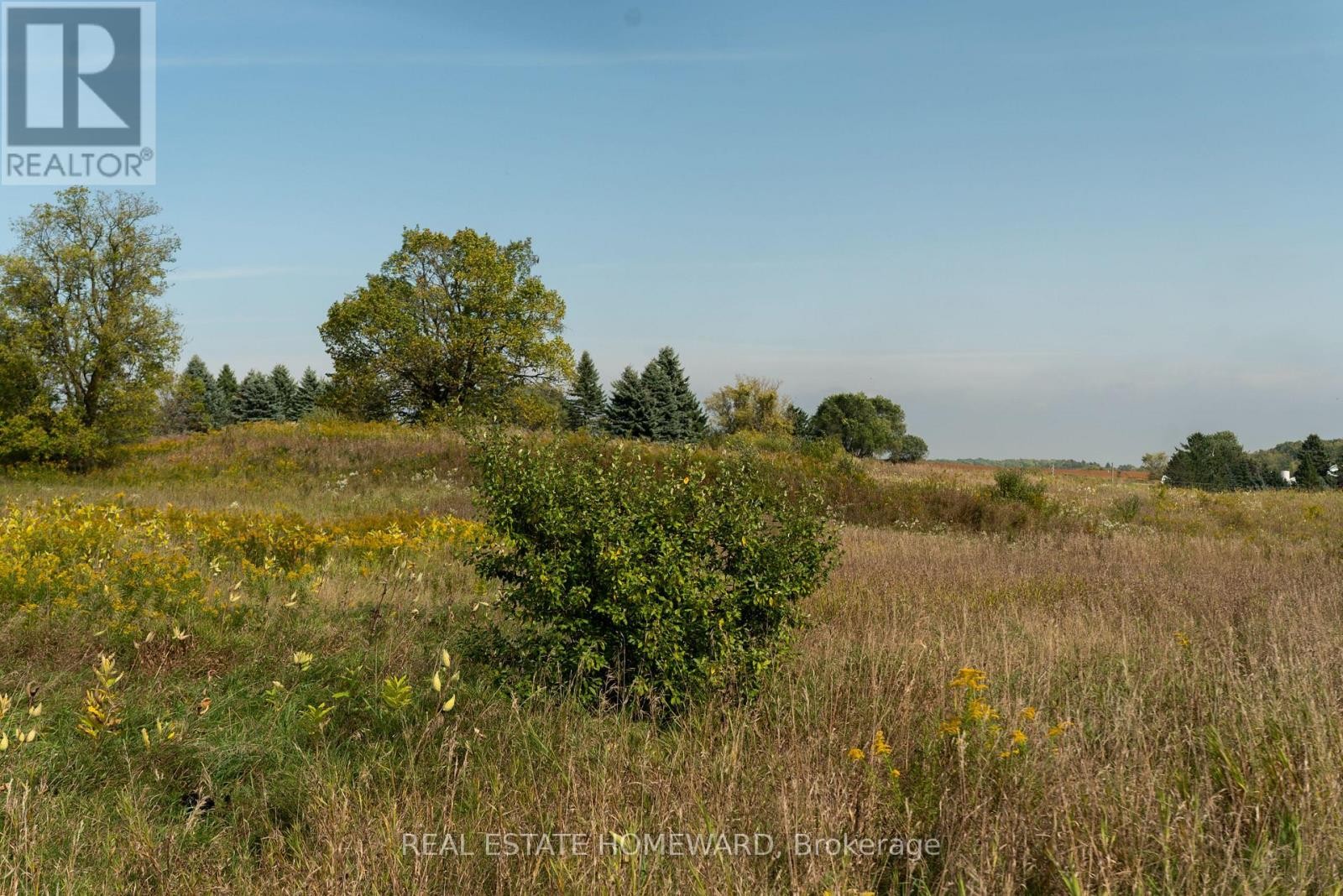 












1430 COUNTY RD 50 S

,
Adjala-Tosorontio,







Ontario
L0N1P0

