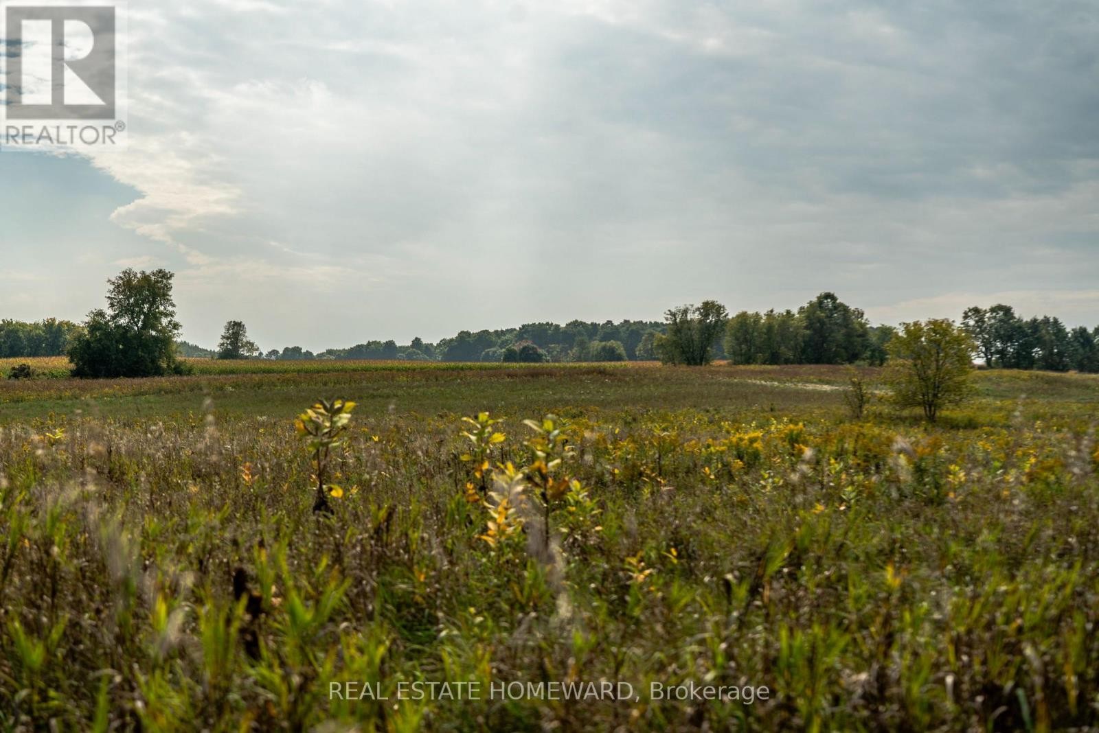 












1430 COUNTY RD 50 S

,
Adjala-Tosorontio,







Ontario
L0N1P0

