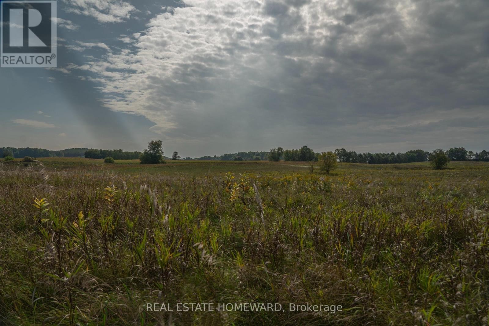 












1430 COUNTY RD 50 S

,
Adjala-Tosorontio,







Ontario
L0N1P0

