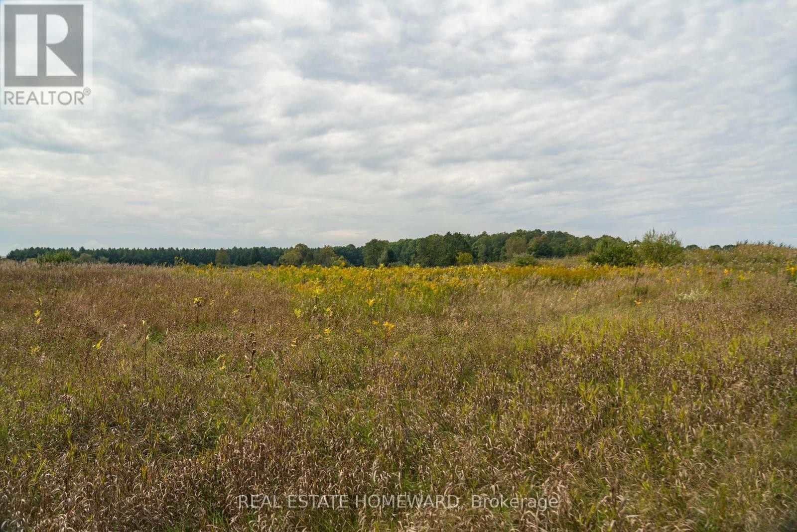 












1430 COUNTY RD 50 S

,
Adjala-Tosorontio,







Ontario
L0N1P0

