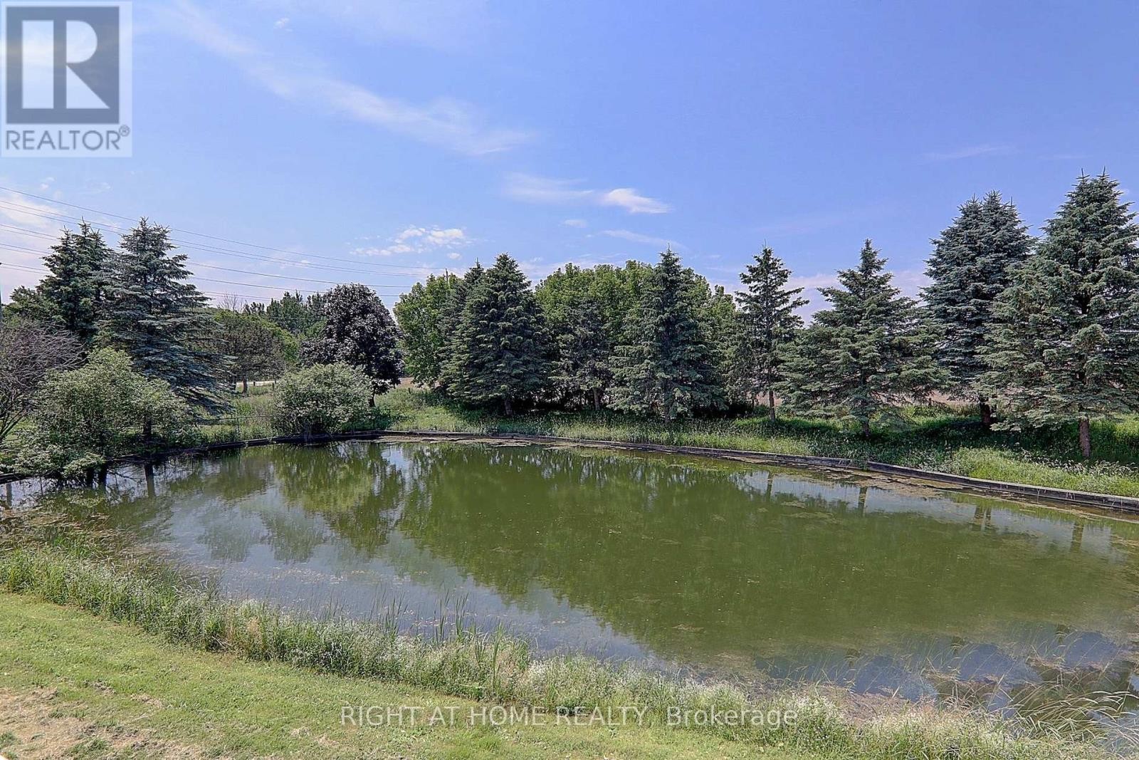 












1008 MOUNT ALBERT ROAD

,
East Gwillimbury (Sharon),




Ontario
L0G1V0

