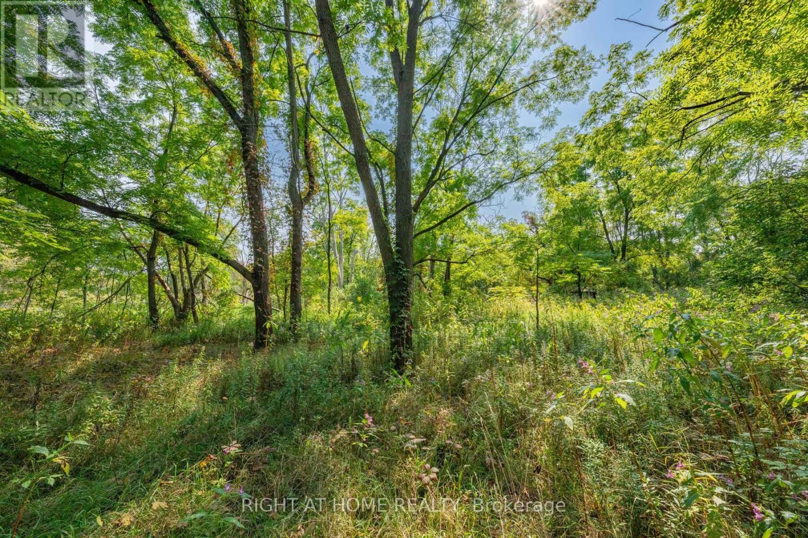 












315 MAIN STREET N

,
Newmarket (Bristol-London),




Ontario
L3Y9A9

