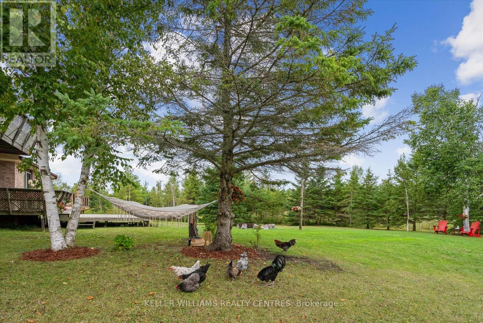 












25154 VALLEY VIEW DRIVE

,
Georgina (Sutton & Jackson's Point),




Ontario
L0E1R0

