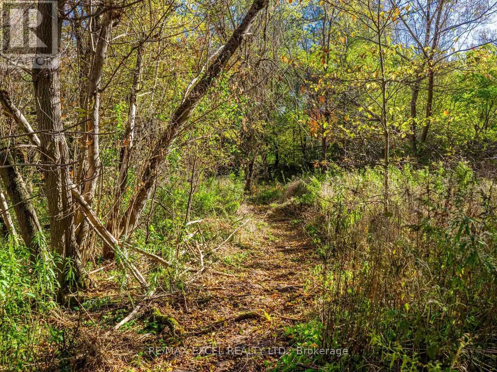 












4138 19TH AVENUE

,
Markham,




Ontario
L6C1M2

