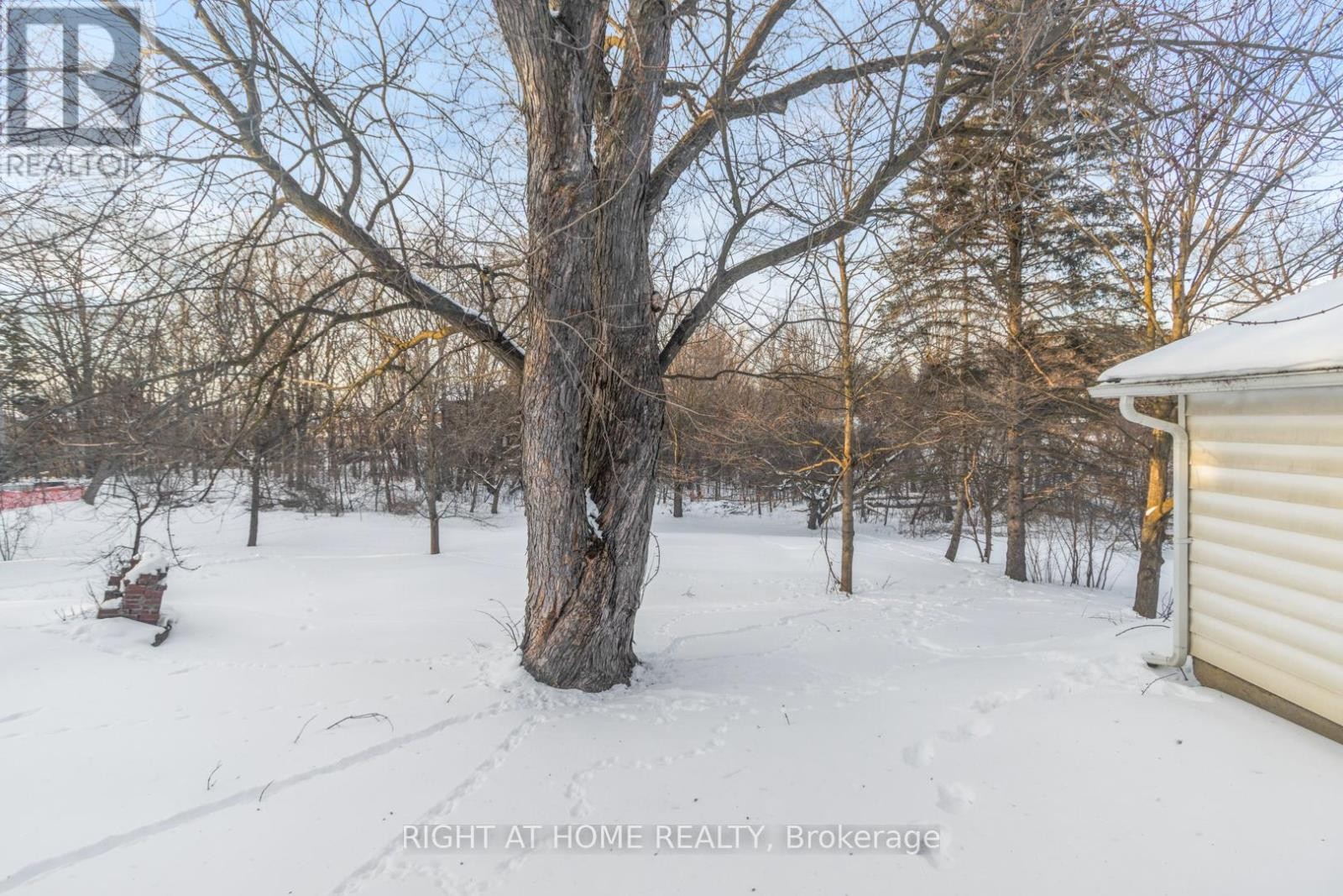 












735 SRIGLEY STREET

,
Newmarket (Gorham-College Manor),




Ontario
L3Y1X6

