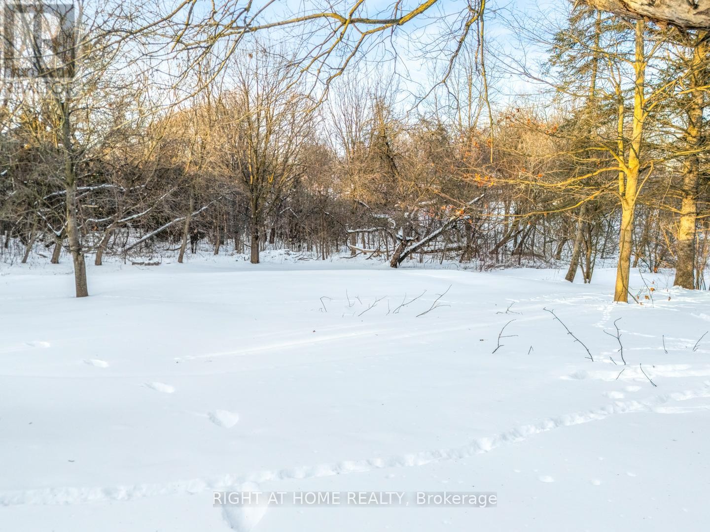 












735 SRIGLEY STREET

,
Newmarket (Gorham-College Manor),




Ontario
L3Y1X6

