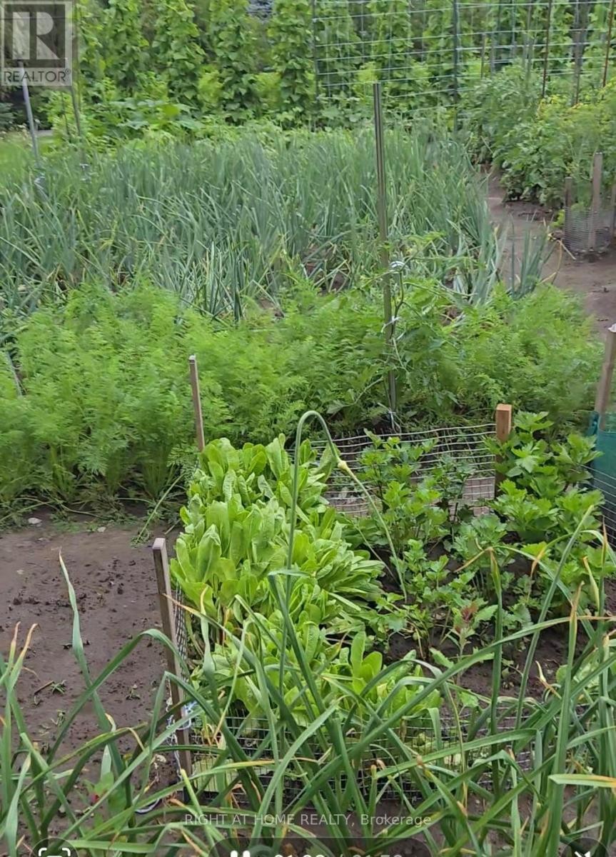 












709 REGIONAL RD 13 ROAD

,
Uxbridge,




Ontario
L0C1C0

