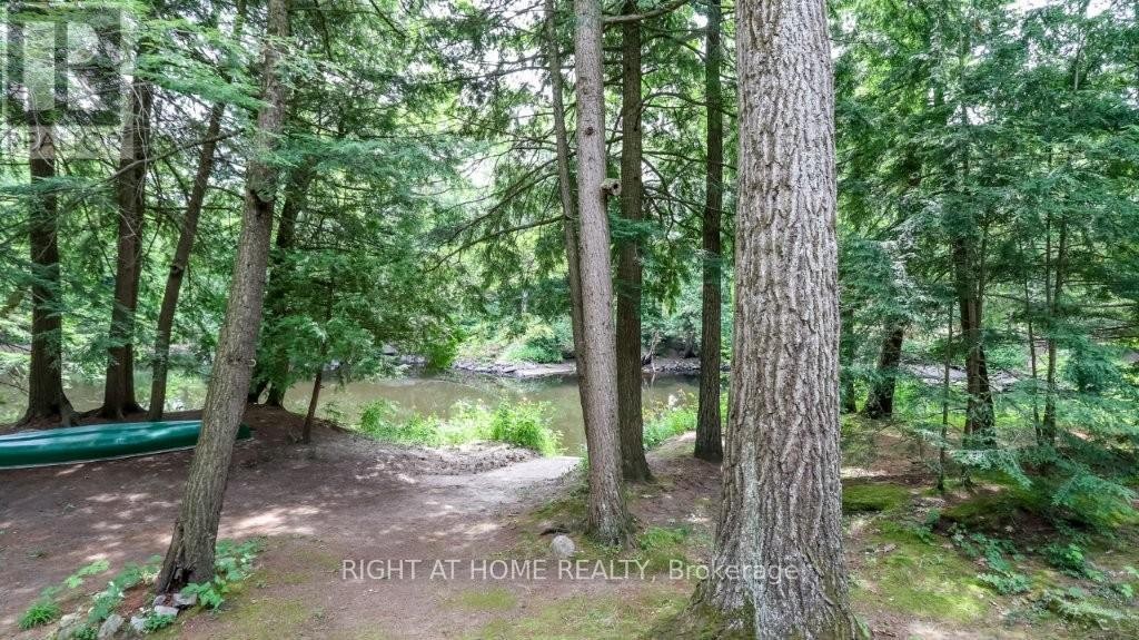 












7459 ISLAND CRESCENT

,
Ramara,




Ontario
L0K2B0

