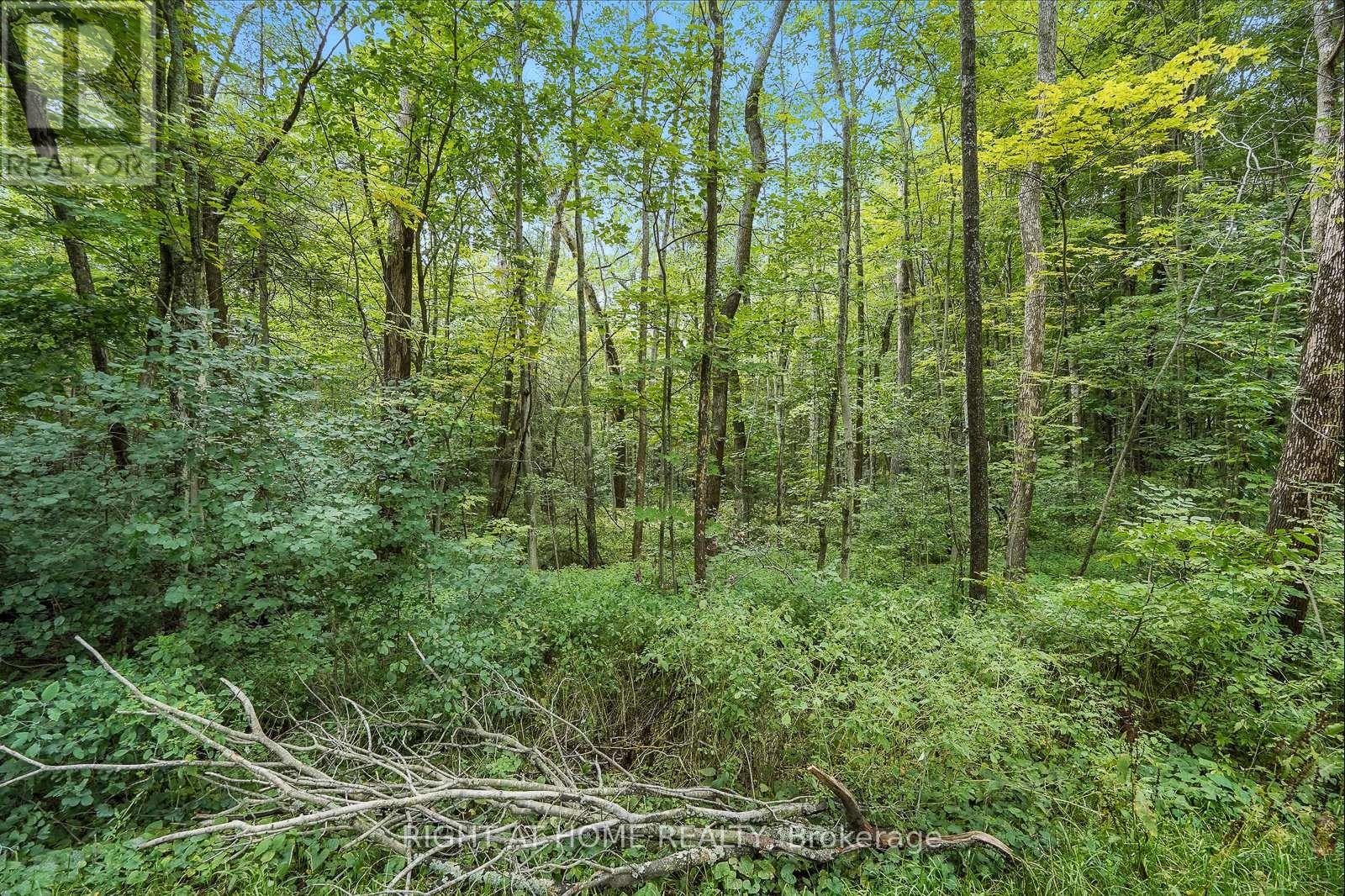 












29 NIDA DRIVE

,
Tiny,




Ontario
L9M0B3

