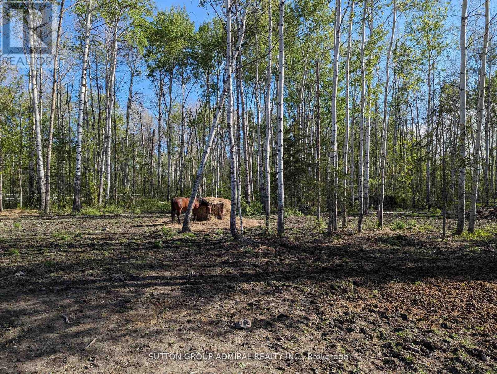 












227005 BRENTHA ROAD

,
Englehart (Central Timiskaming),







Ontario
P0J1H0

