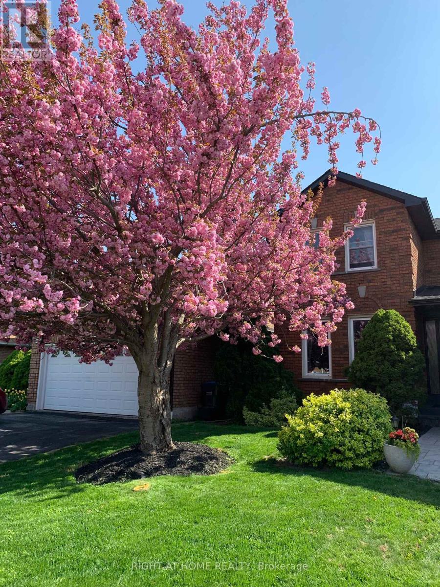 












4341 IDLEWILDE CRESCENT

,
Mississauga (Central Erin Mills),




Ontario
L5M4E2

