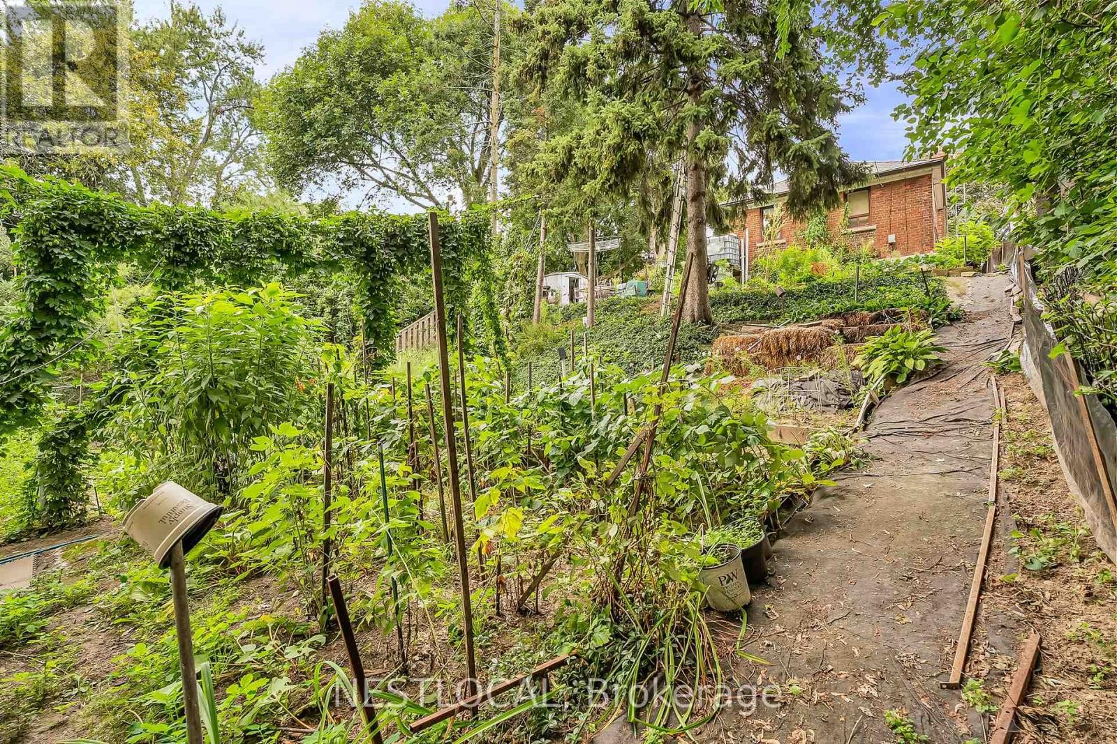 












37 ENFIELD AVENUE

,
Toronto (Alderwood),




Ontario
M8W1T6

