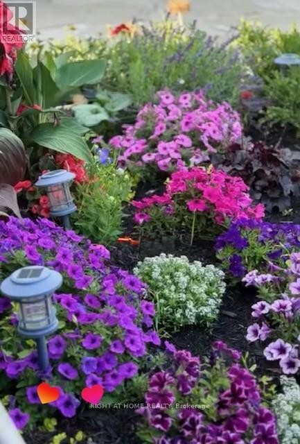 












47 RONALD AVENUE

,
Toronto (Briar Hill-Belgravia),




Ontario
M6E4M8

