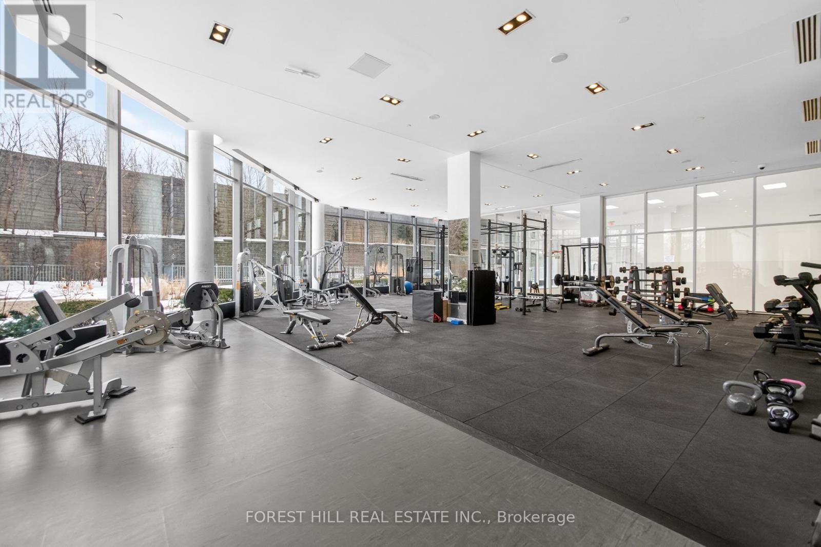 












509 - 88 PARK LAWN ROAD

,
Toronto (Mimico),




Ontario
M8Y0B5

