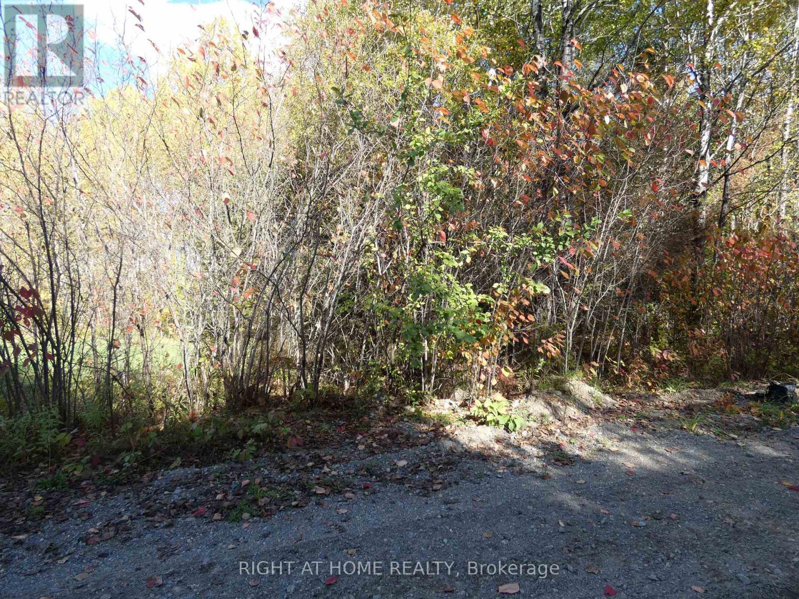 












PT 2&4 MCDONALD ROAD

,
West Nipissing (Verner),







Ontario
P0H2N0

