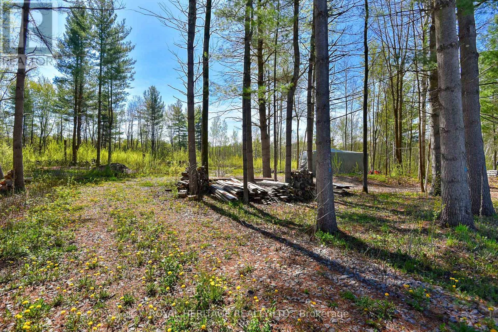 












2449 ROONEY ROAD E

,
Edwardsburgh/Cardinal,







Ontario
K0E1T1

