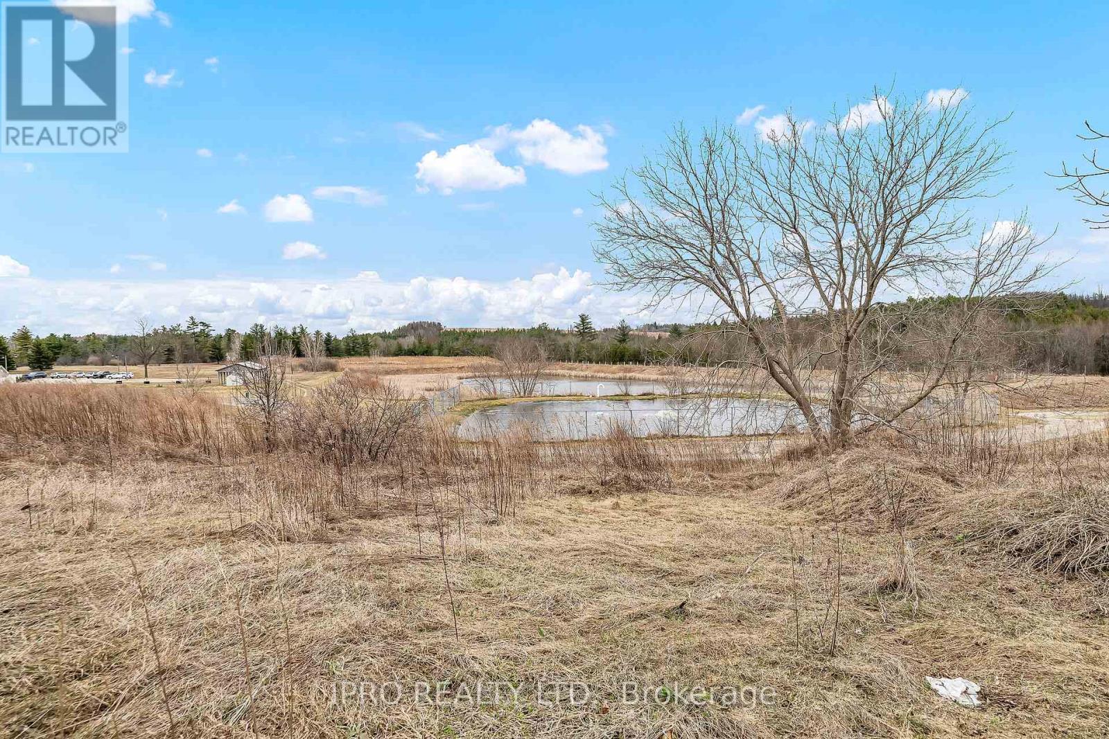 












137 MAPLE CRESCENT

,
Hamilton,




Ontario
N0B2J0

