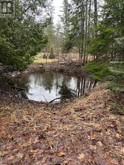












1020 PARKHOLME ROAD

,
Gravenhurst,




Ontario
P1P1R2

