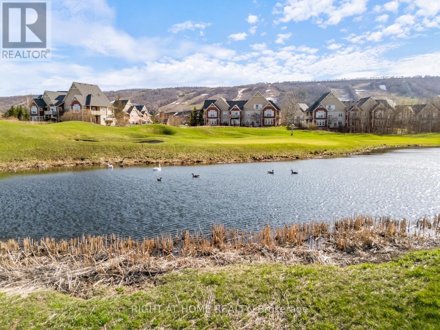 












229 - 130 FAIRWAY COURT

,
Blue Mountains,




Ontario
N3W1Y1

