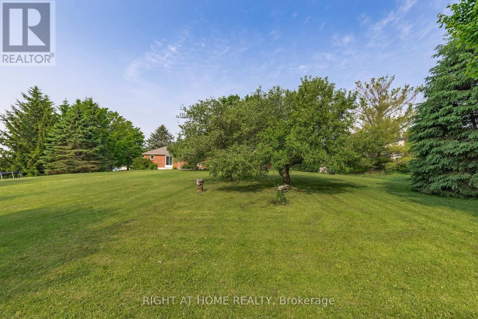 












5 MADILL DRIVE

,
Mono,




Ontario
L9W6G3

