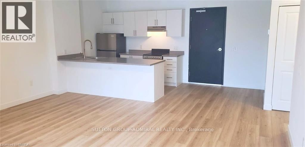 












106 - 252 CATHARINE STREET

,
Hamilton (Central),




Ontario
L8L4S6

