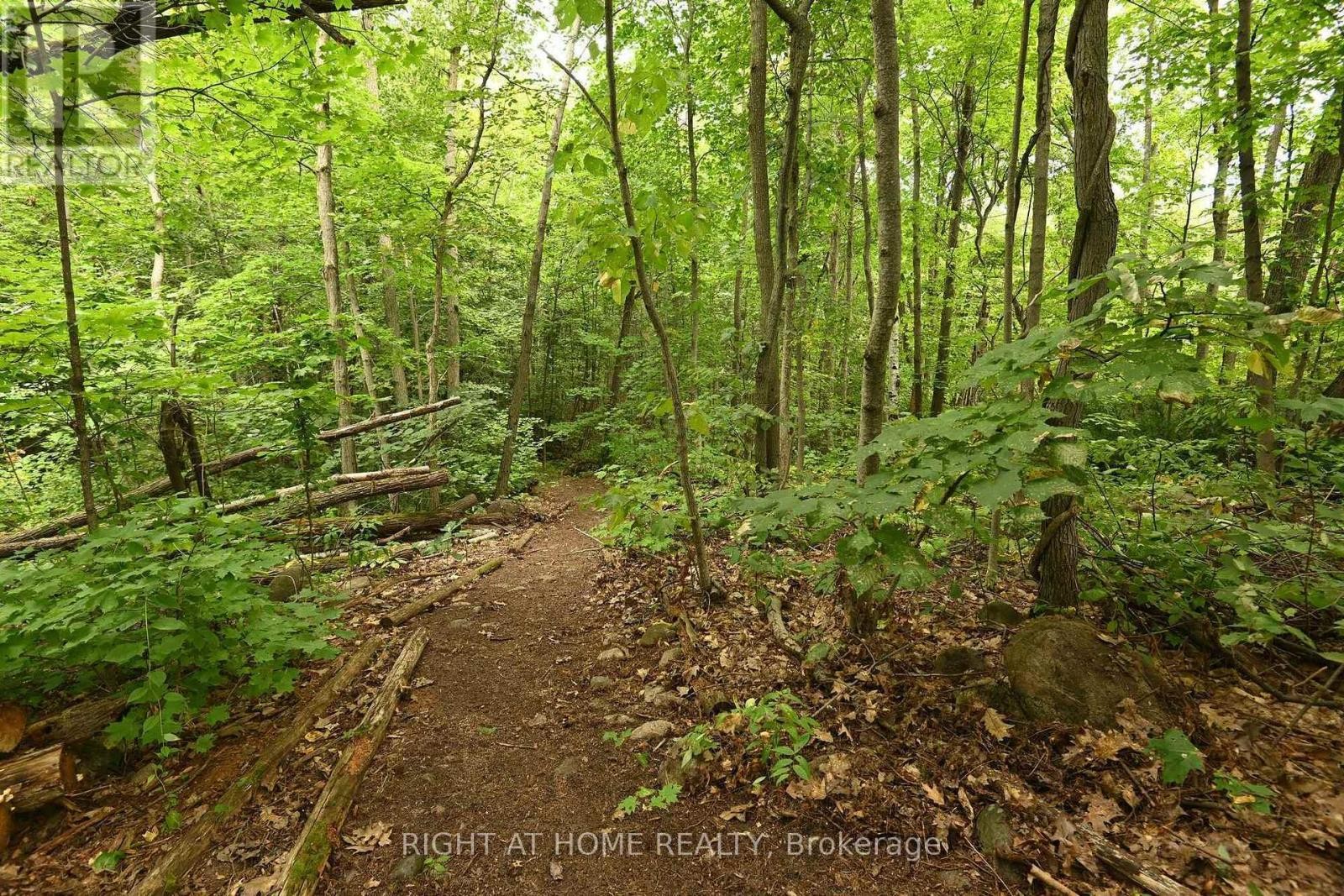 












WC21 HARDWOOD ISLAND EAST

,
West Nipissing (Verner),




Ontario
P2B2M9

