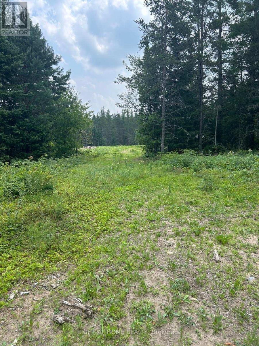 












1123 FOURTH AVE. AVENUE

,
McMurrich/Monteith (McMurrich),







Ontario
P0A1Y0

