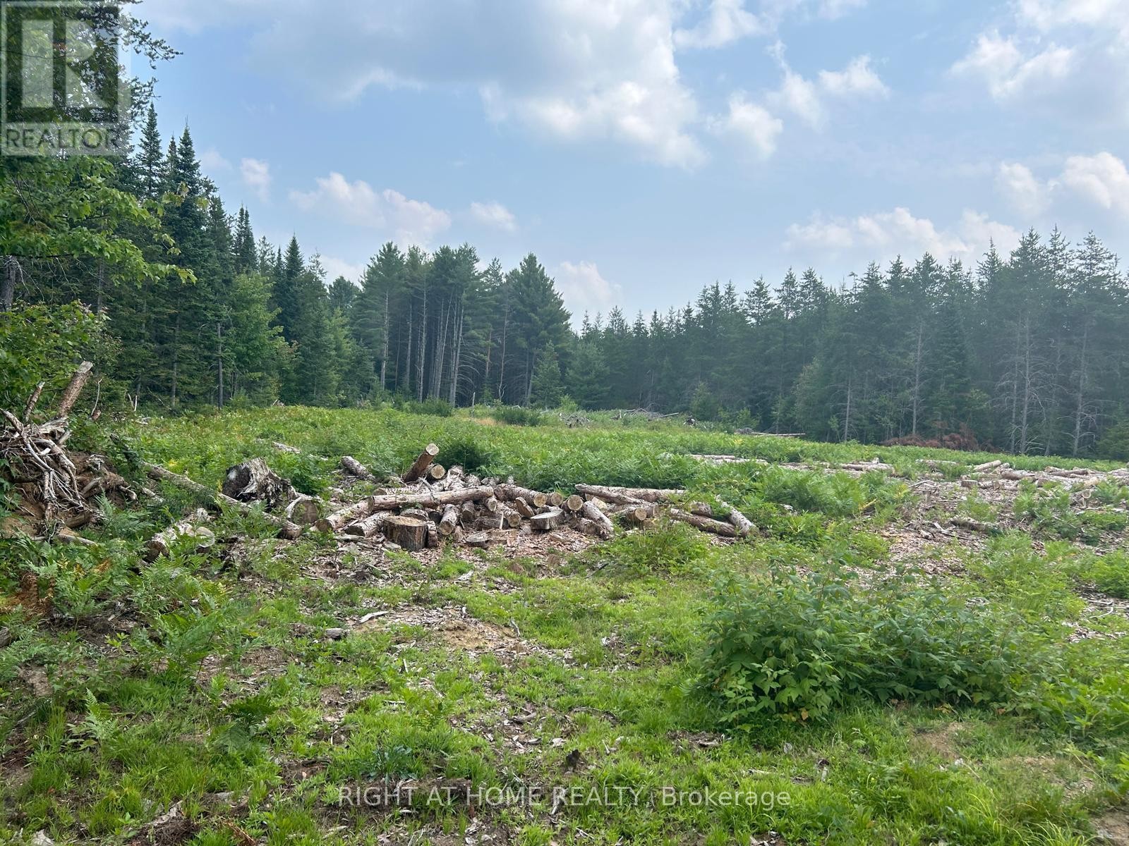 












1123 FOURTH AVE. AVENUE

,
McMurrich/Monteith (McMurrich),







Ontario
P0A1Y0

