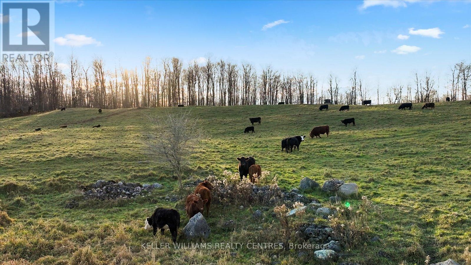 












4956 FIFTH LINE

,
Erin,







Ontario
L7J2J8

