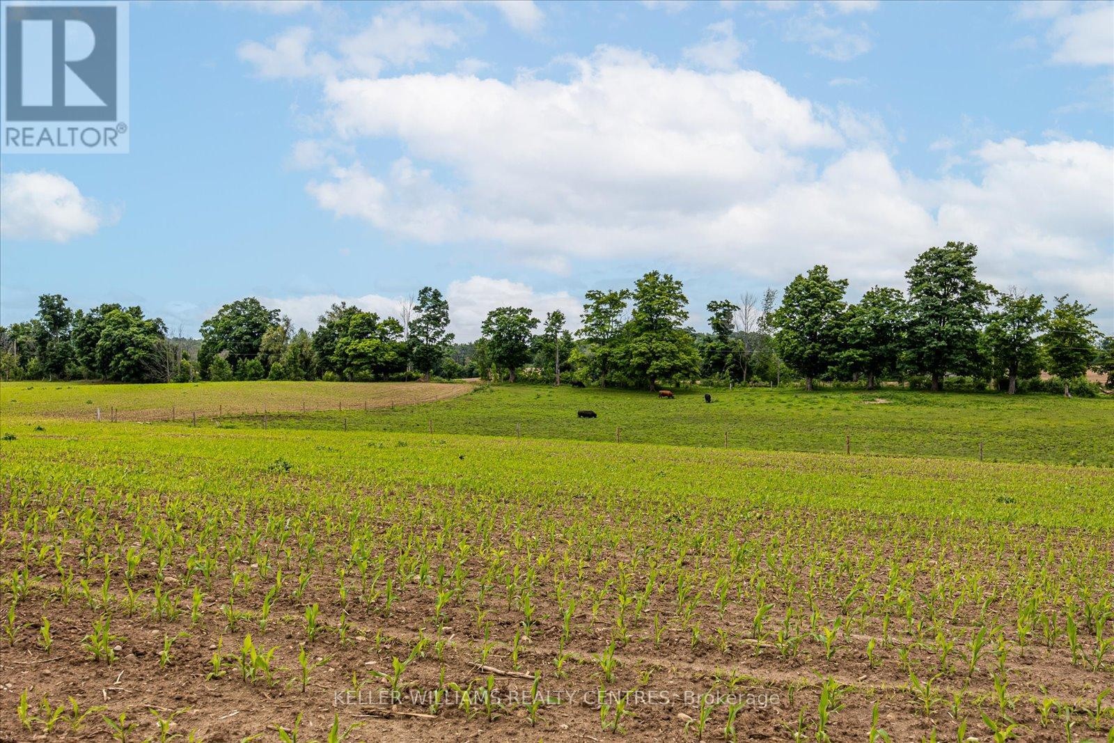 












4956 FIFTH LINE

,
Erin,







Ontario
L7J2J8

