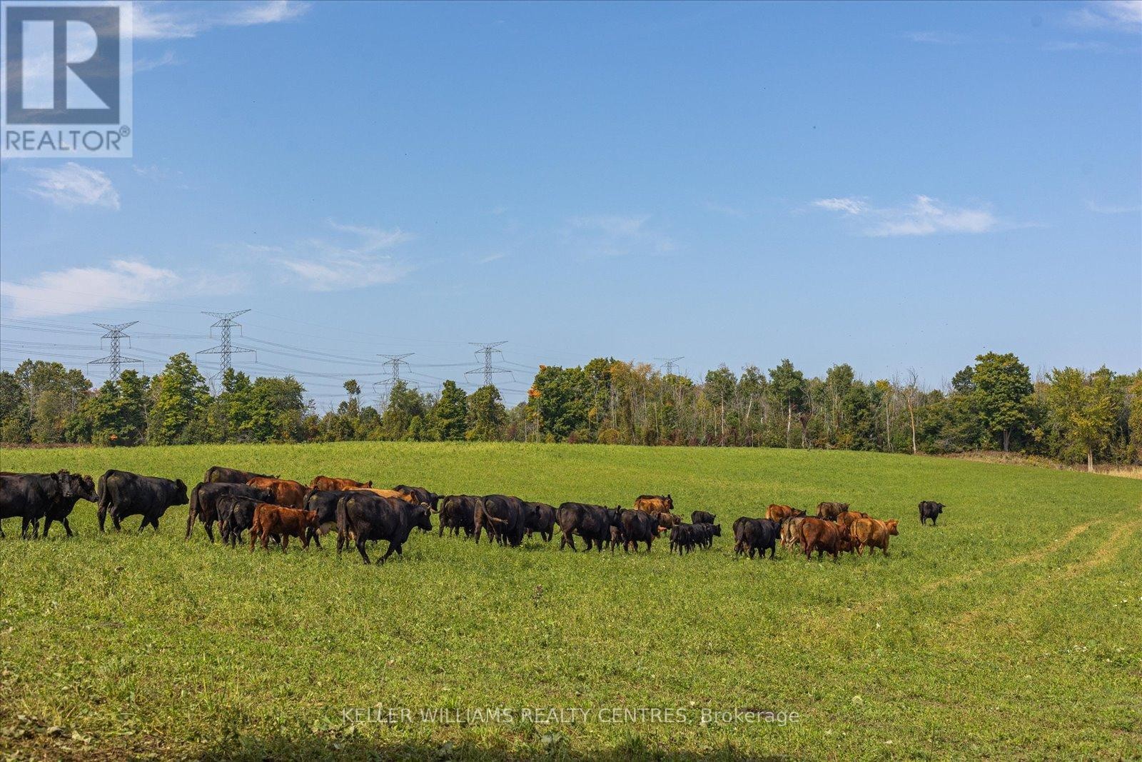 












4956 FIFTH LINE

,
Erin,







Ontario
L7J2J8

