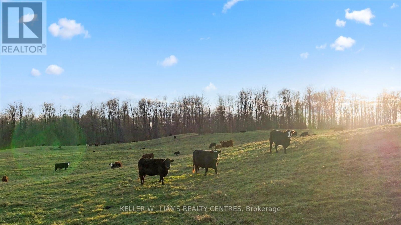 












4956 FIFTH LINE

,
Erin,







Ontario
L7J2J8


