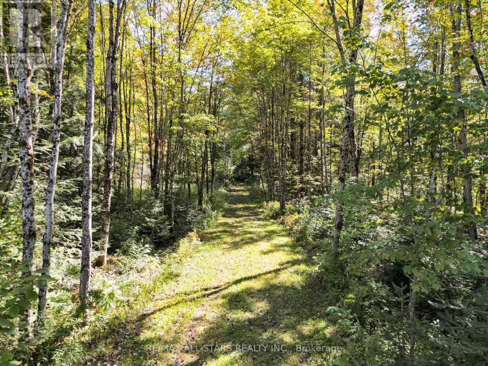 












1435 FALKENBURG ROAD

,
Muskoka Lakes (Monck (Muskoka Lakes)),




Ontario
P1L1X4

