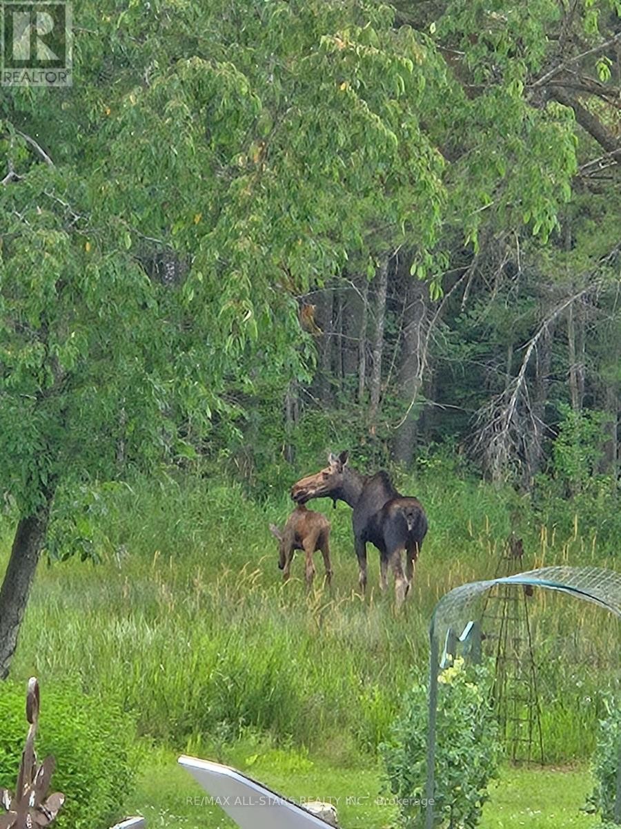 












1435 FALKENBURG ROAD

,
Muskoka Lakes (Monck (Muskoka Lakes)),




Ontario
P1L1X4

