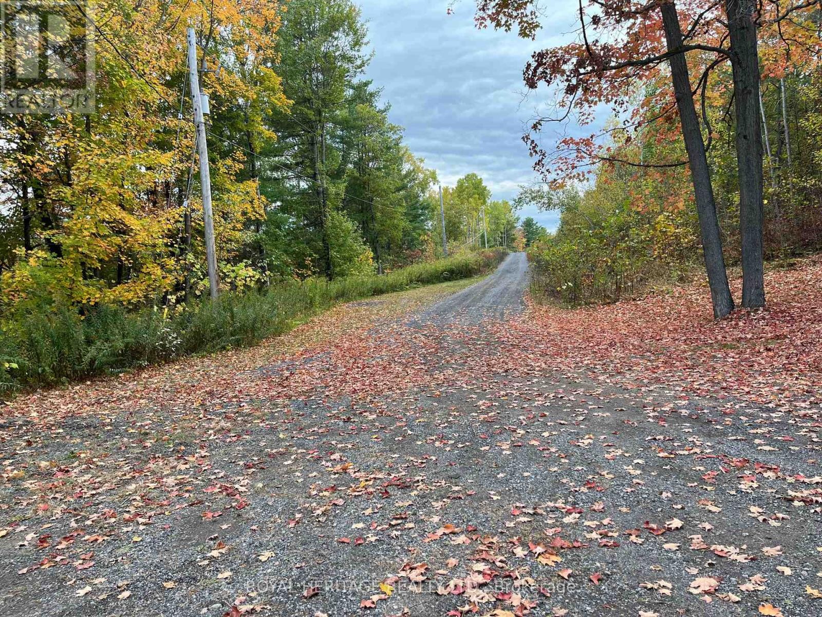 












10175 41 HIGHWAY

,
Addington Highlands (Addington Highlands),




Ontario
K0H1Z0


