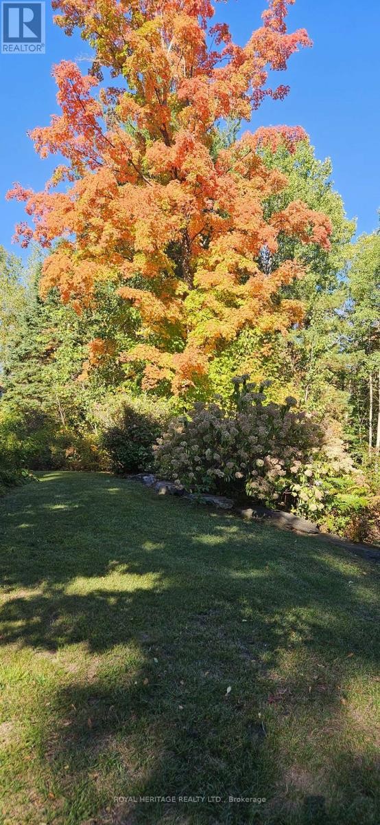 












10175 41 HIGHWAY

,
Addington Highlands (Addington Highlands),




Ontario
K0H1Z0

