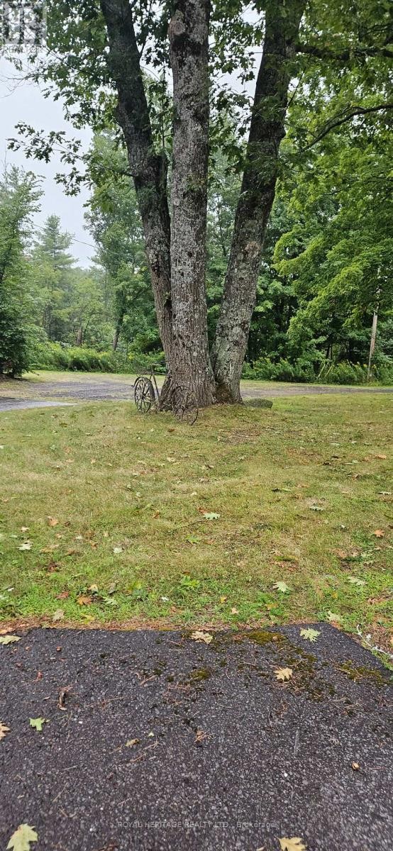 












10175 HIGHWAY 41 HIGHWAY

,
Addington Highlands (Addington Highlands),




Ontario
K0H1Z0

