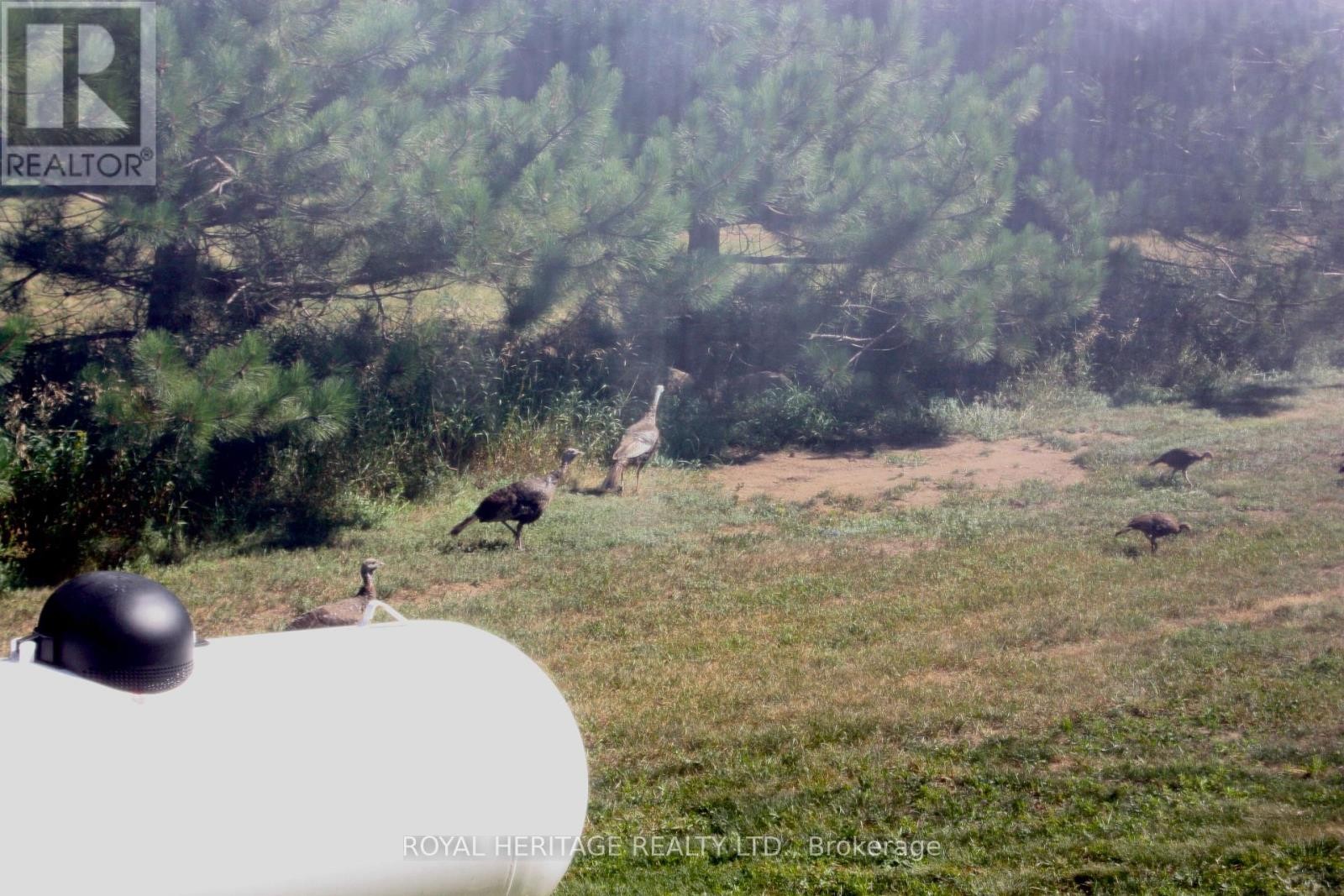 












414 PINE VIEW RIDGE ROAD

,
Tudor and Cashel (Tudor Ward),




Ontario
K0L1W0

