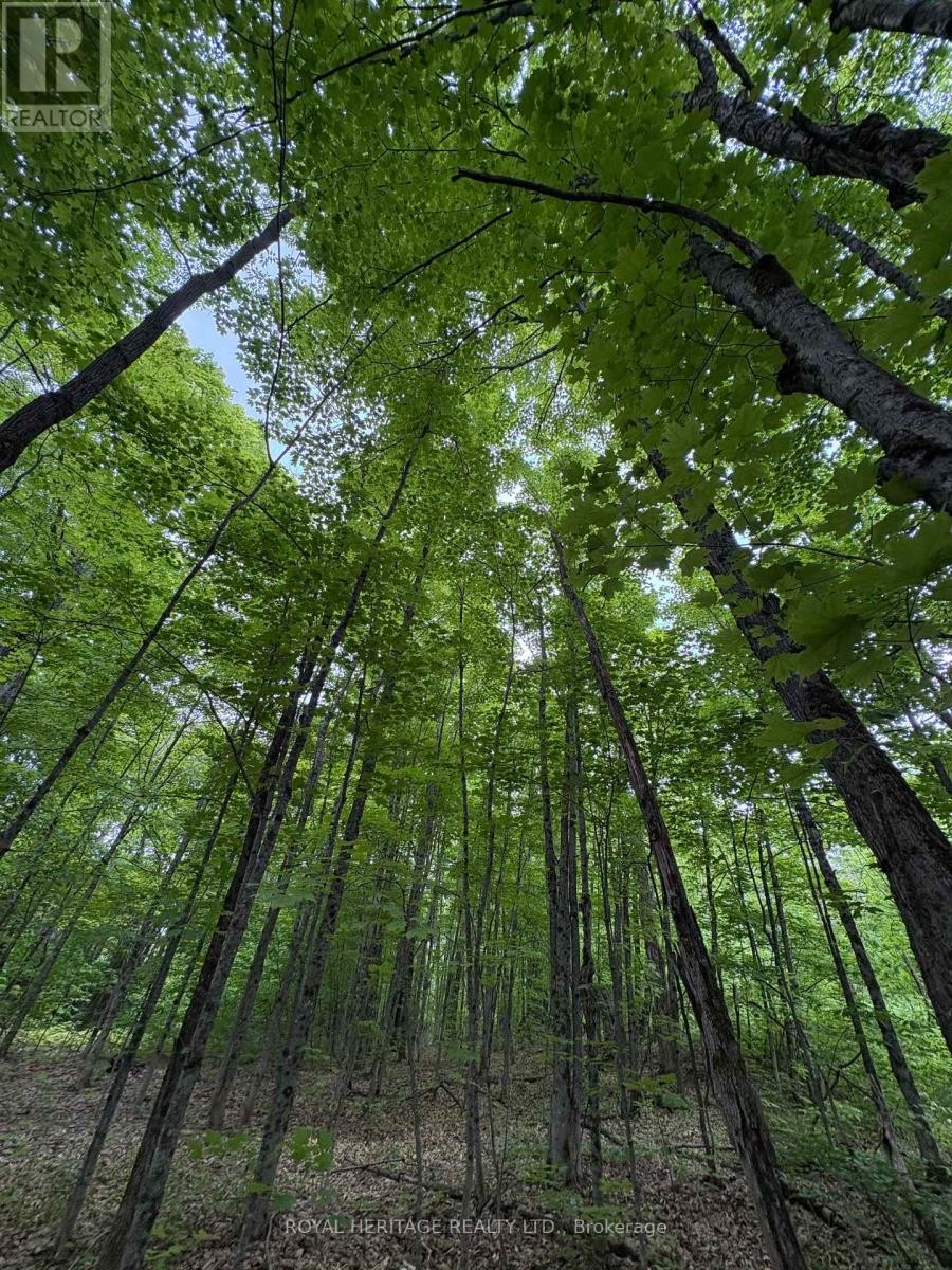 












1043 LAWRENCE PIT ROAD

,
Muskoka Lakes (Watt),







Ontario
P0B1M0

