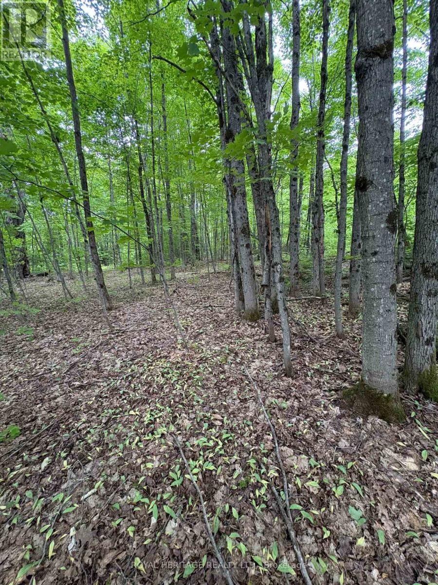 












1043 LAWRENCE PIT ROAD

,
Muskoka Lakes (Watt),







Ontario
P0B1M0

