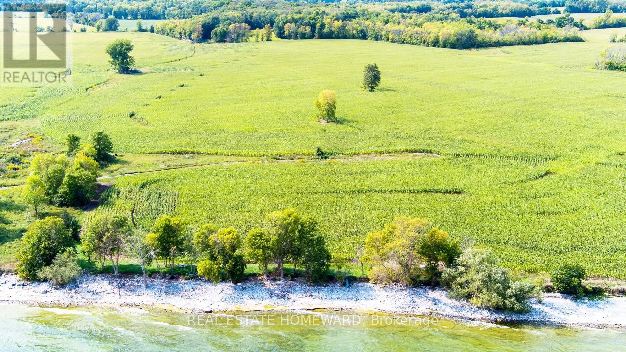 












138 JARVIS LANE

,
Prince Edward County (North Marysburg Ward),







Ontario
K0K2T0

