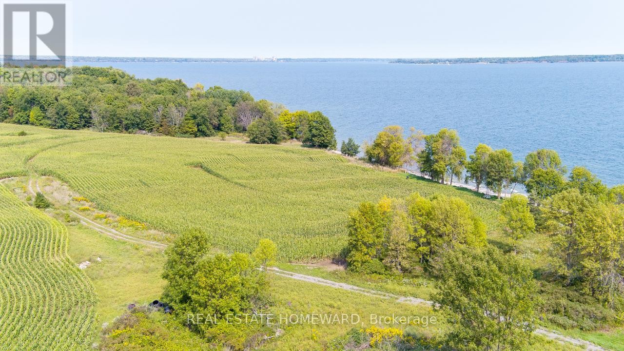 












138 JARVIS LANE

,
Prince Edward County (North Marysburg Ward),







Ontario
K0K2T0

