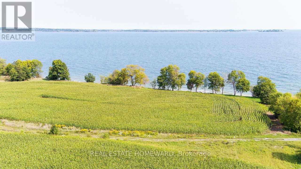 












138 JARVIS LANE

,
Prince Edward County (North Marysburg Ward),







Ontario
K0K2T0

